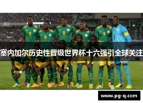 塞内加尔历史性晋级世界杯十六强引全球关注